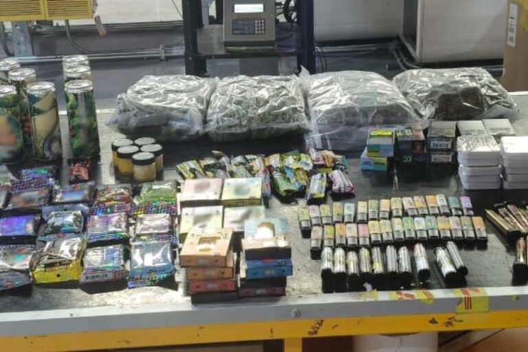 Aseguran droga y más de mil vapeadores en aeropuerto internacional de Querétaro