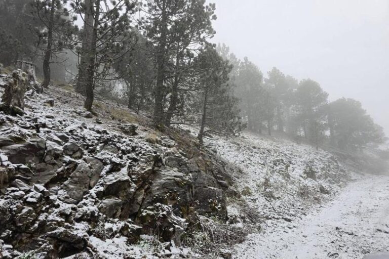 Cae nieve en Galeana, Nuevo León