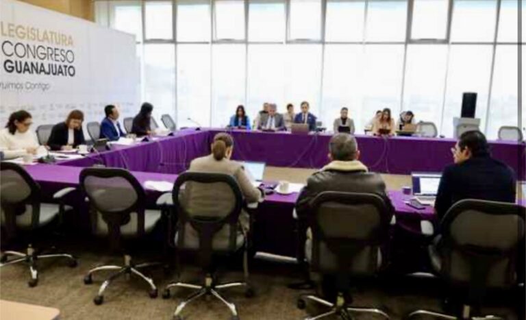 Revisan propuestas en materia de interés superior de la niñez y sanciones penales por el desmonte y la tala de árboles