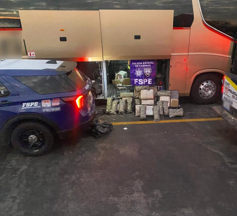 Asegura Policía Estatal de Caminos más de 38 mil dosis de marihuana en Salamanca