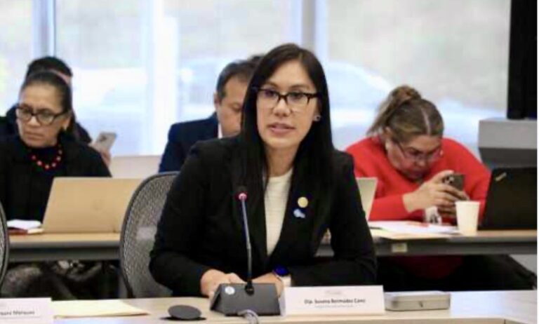 Llaman a elaborar e implementar protocolos en materia de violencia digital