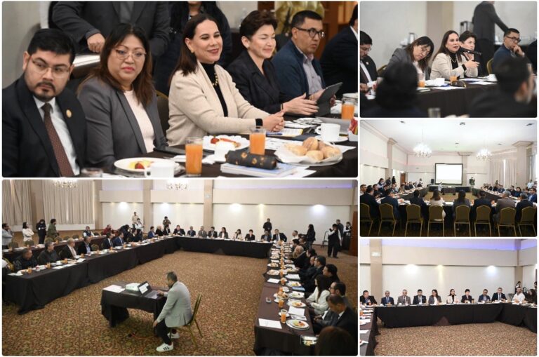 AVANZAN ALIANZAS CIUDADANAS POR LA SEGURIDAD EN IRAPUATO