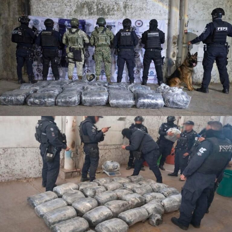 Decomisan droga con valor de 4.7 millones de pesos
