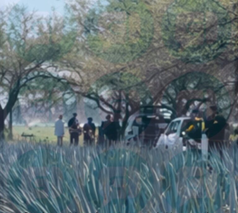 Localizan hombre sin vida y huellas de violencia en plantío de magueyes