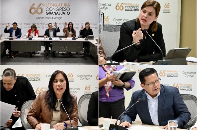 PAN y PRD respaldan en Comisión medidas contra la violencia vicaria y delitos sexuales