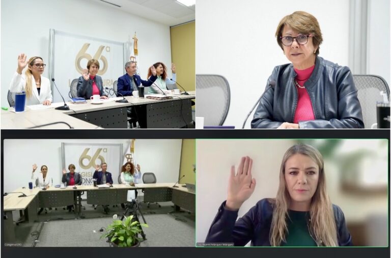 Avanza reforma del PAN y PRD para fortalecer la atención en salud mental de las mujeres en Guanajuato