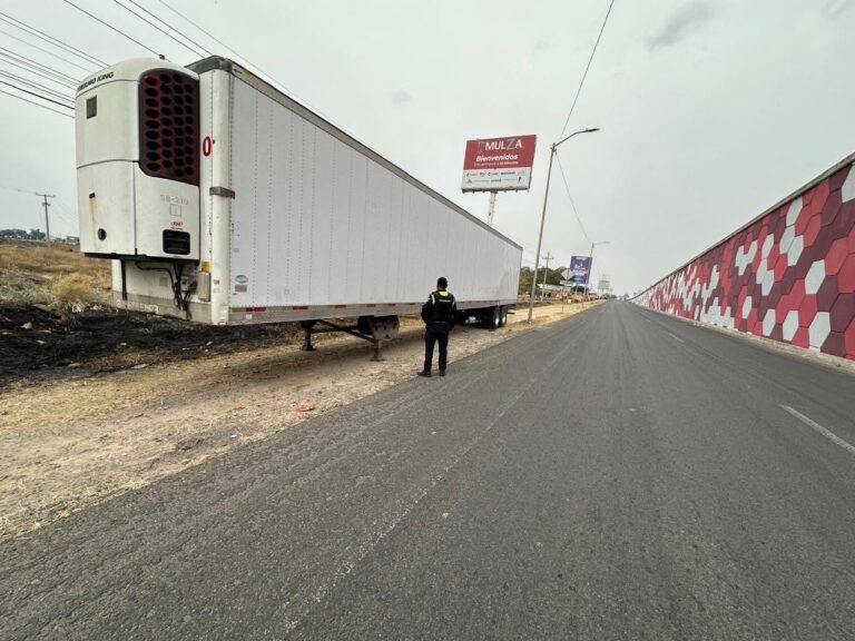 Recuperan 1.5 toneladas de aguacate en operativo sobre la carretera 45, en Silao