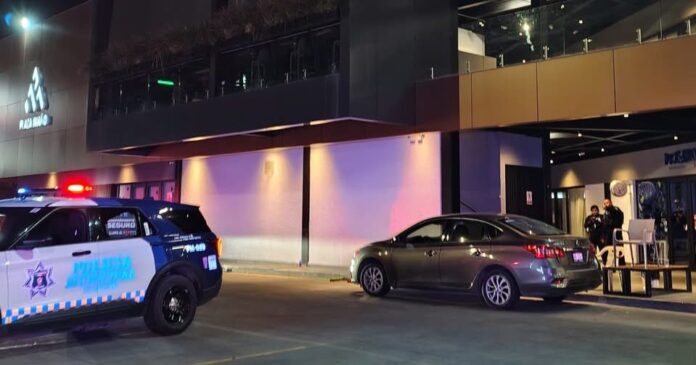 WhatsApp Image 2026-02-16 at 8.40.32 AM