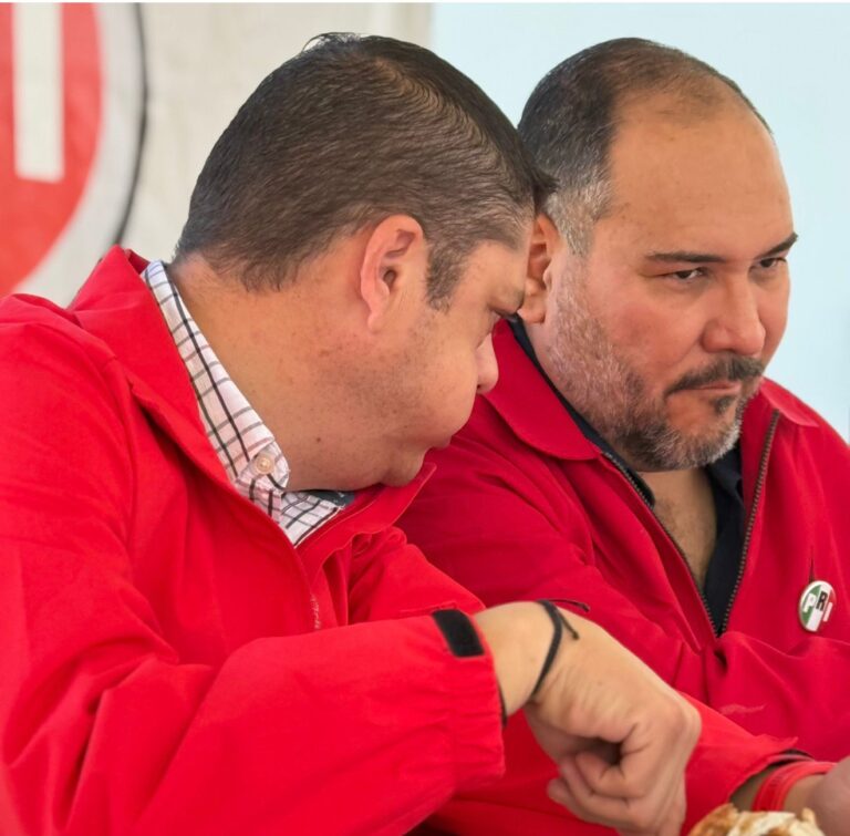 PRI en Irapuato avanza en reorganización y valida 60% de sus seccionales