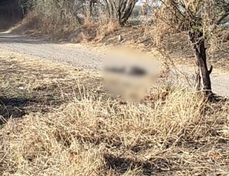 Localizan una mujer sin vida en la carretera Romita-Puerto Interior