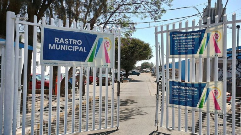 Realiza Servicios Públicos inspección en carnicerías