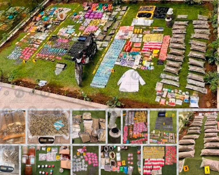 Cateo en León permite desmantelar laboratorio clandestino de drogas