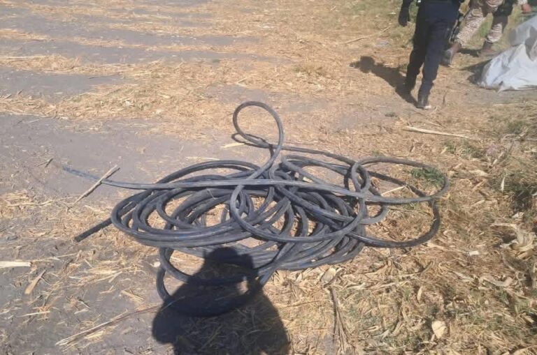 Detectan toma clandestina de hidrocarburo en Celaya durante operativo