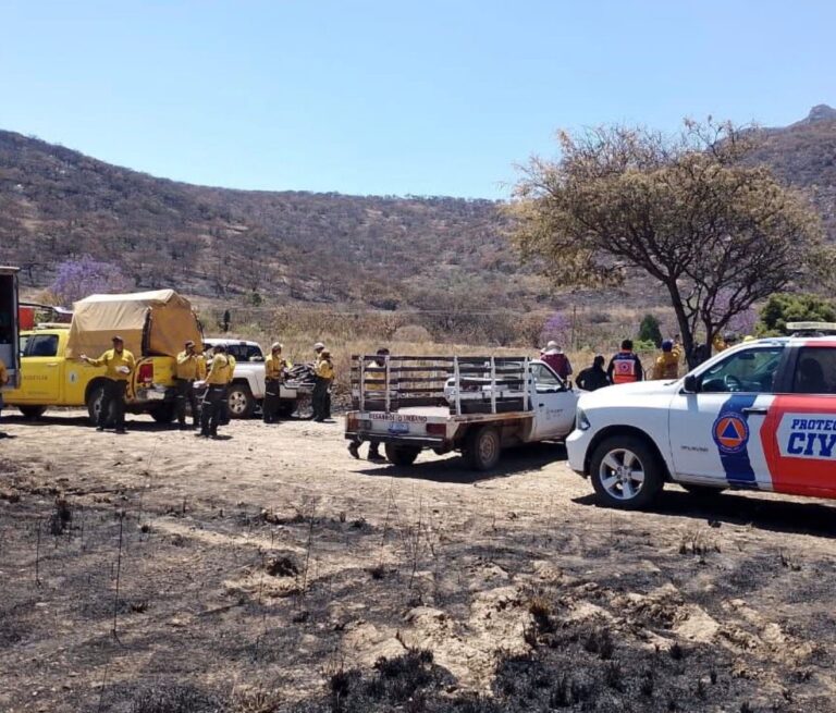 Luego de tres días, autoridades liquidan incendio en zona serrana de Pénjamo