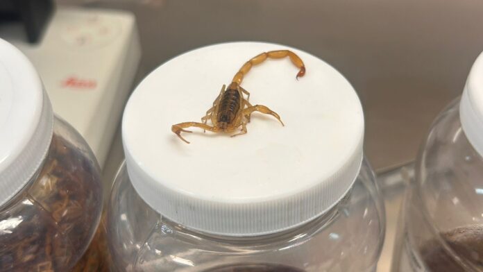 4b95963e-04c5-4528-bd2c-f81526e6ad9c