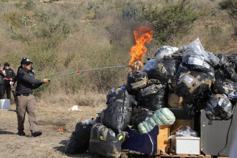 FGR destruye más de 354 kilos de marihuana y casi 99 de metanfetamina en León