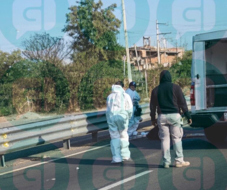 Motociclista pierde la vida tras accidente vial en carretera Irapuato-Silao