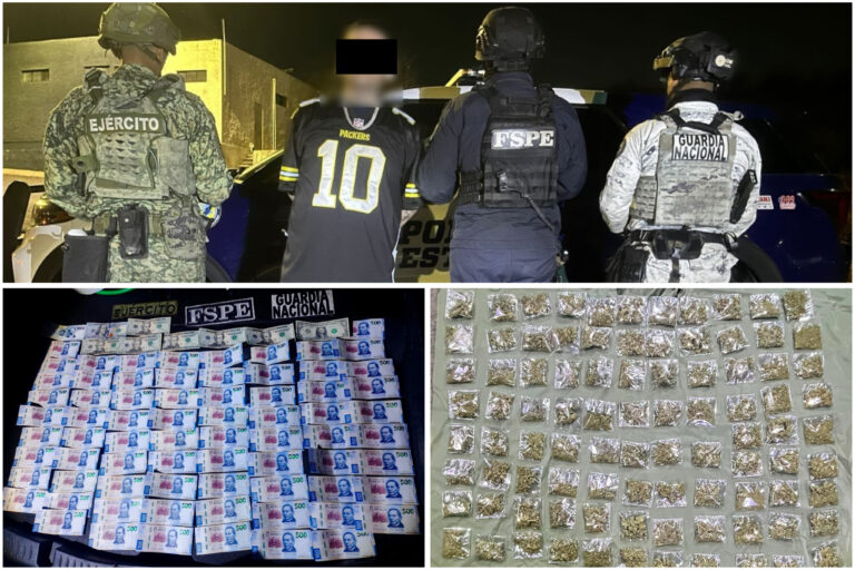 Frustra FSPE distribución de casi mil dosis de marihuana; detienen a presunto vendedor en León