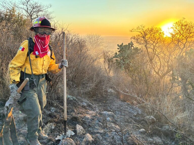 Crece matrícula de mujeres en carreras relacionadas a la ciencia, tecnología e ingenierías