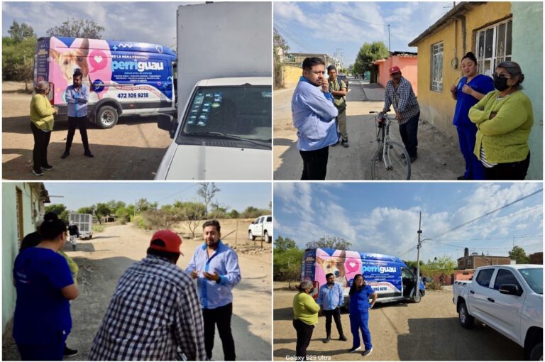 Exhorta Gobierno silaoense a la ciudadanía a respetar a las mascotas