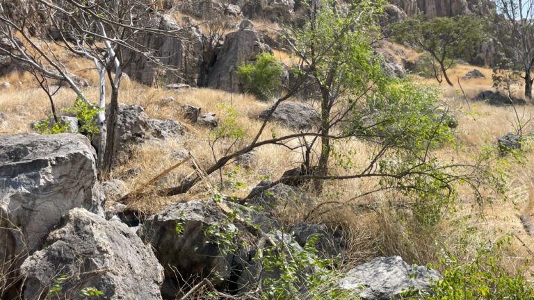 Enjambre sísmico: Causa de temblores en Abasolo