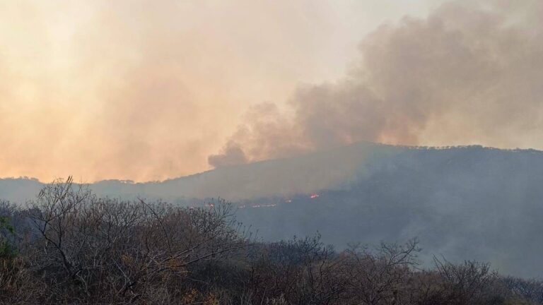 Incendio forestal arrasa con 100 hectáreas en la Sierra de Pénjamo