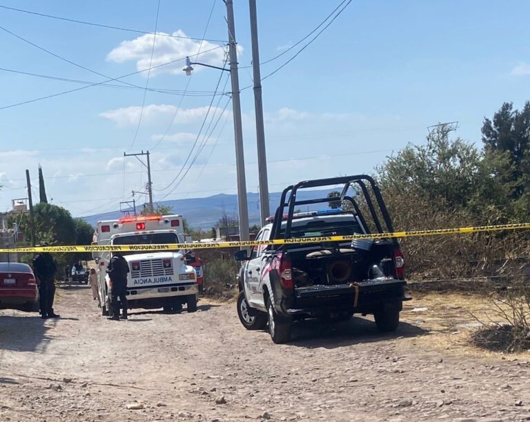 Fallece mujer atacada por abejas en Pénjamo