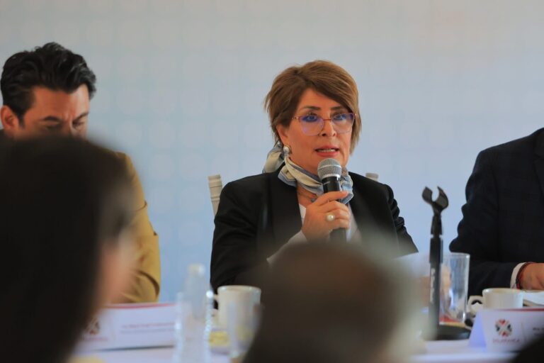 Asegura Irma Leticia que carreteras libres quedarán sin baches