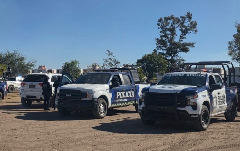 Reporta Observatorio Ciudadano reducción de delitos de alto impacto