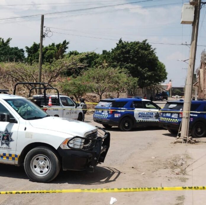 WhatsApp Image 2026-03-30 at 12.54.20 PM