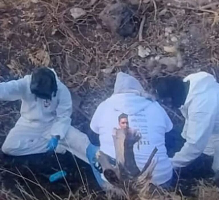 Hallan restos de 17 personas en Cortazar tras tres meses de búsqueda