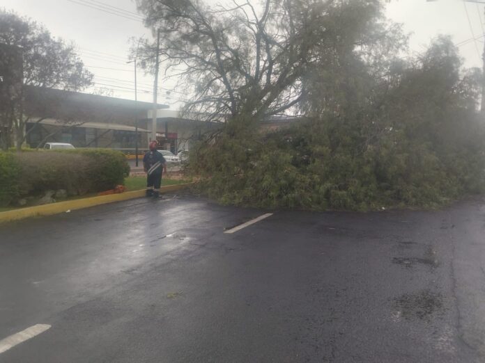 a9d9ef6b-07e2-4adb-b444-769ec303d52e