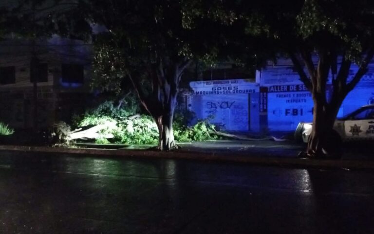 Lluvia y ráfagas de viento dejan afectaciones en Irapuato