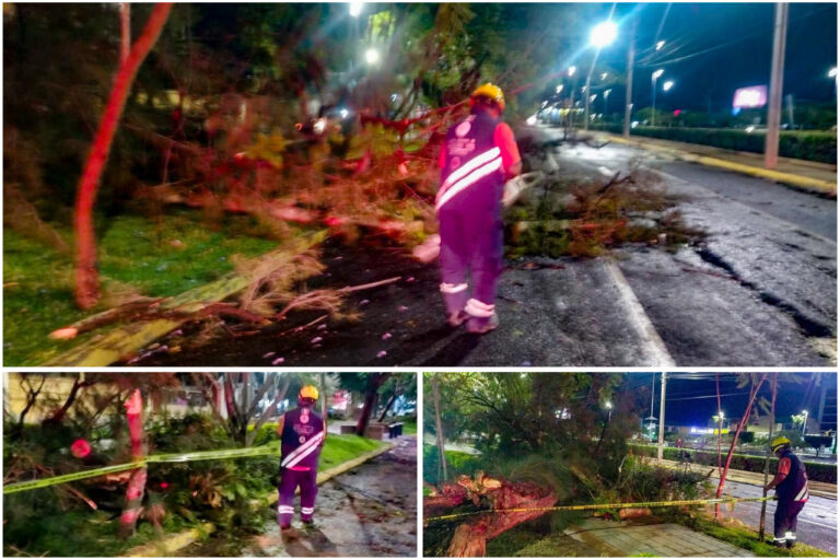 Atienden afectaciones por lluvia y fuertes vientos en Irapuato; no hay lesionados