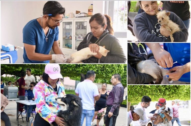 MANTIENE GOBIERNO DE IRAPUATO CAMPAÑA PERMANENTE DE VACUNACIÓN ANTIRRÁBICA Y BIENESTAR ANIMAL