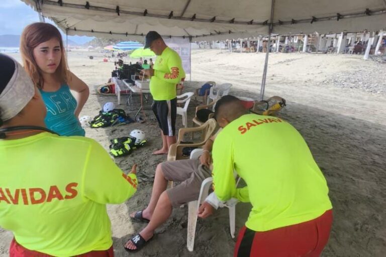 Alerta en Michoacán por medusa dragón azul en playas; advierten riesgo para turistas