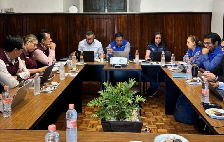 Aprueban en comisiones reglamento de parquímetros en Irapuato