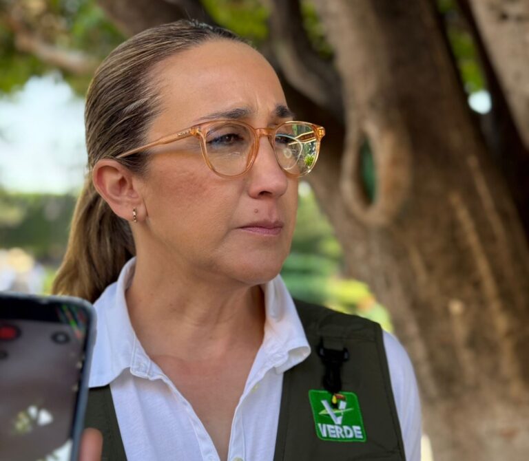 Pide dirigente estatal del Partido Verde centrar debate político en resultados y no en confrontaciones