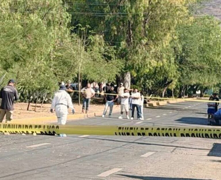 Motociclista menor de edad pierde la vida tras chocar contra árbol