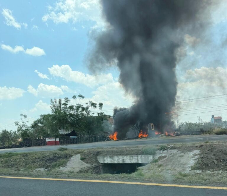 Incendio de pastizal se sale de control y consume vulcanizadora en Irapuato