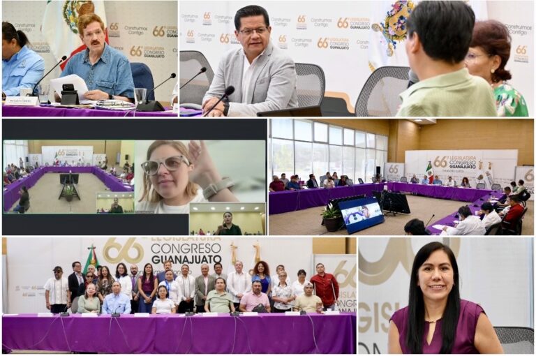 Fortalecen iniciativa de inclusión: proponen ampliar formatos de accesibilidad en documentos oficiales