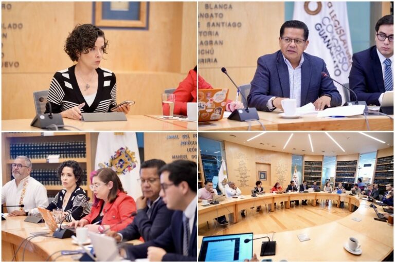 Analizan iniciativa del PAN para crea registro vial que salve vidas
