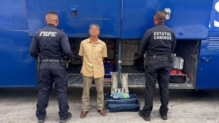 Asegura PEC más de mil dosis de presunta marihuana en autobús de pasajeros en Salamanca