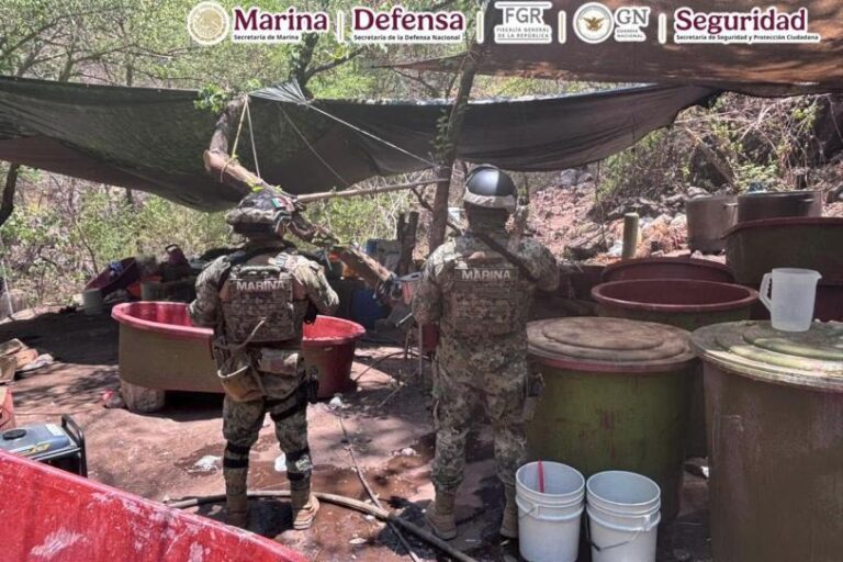 Desmantelan dos narcolaboratorios ligados a “El Jardinero” del CJNG