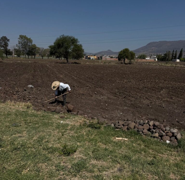 Productores advierten crisis en el campo de Guanajuato por calor y altos costos
