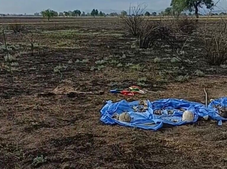 Localizan tres cuerpos semienterrados en zona rural de Irapuato