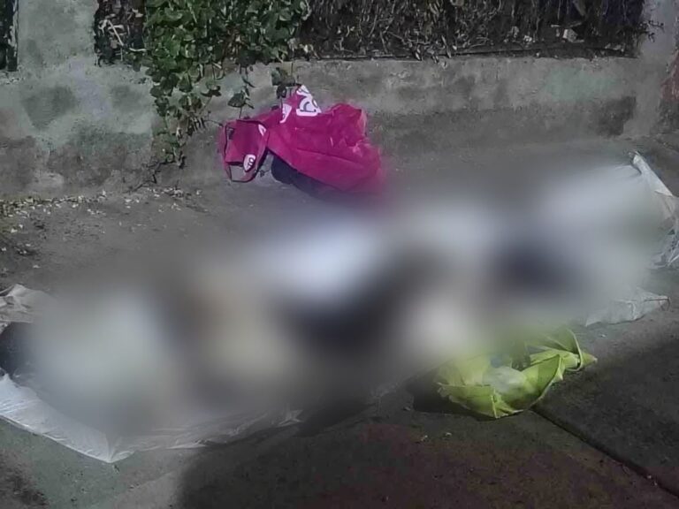 Investiga Fiscalía presunto envenenamiento de 6 perros en Celaya