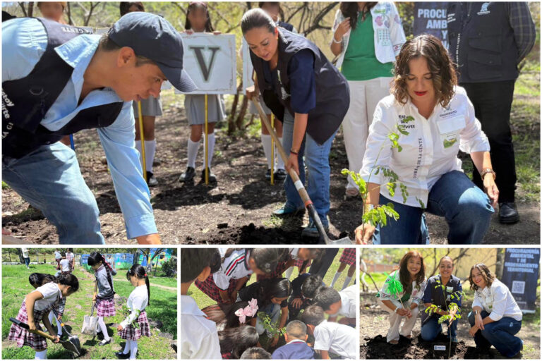 Procuraduría Ambiental inicia jornada de arborización en el estado