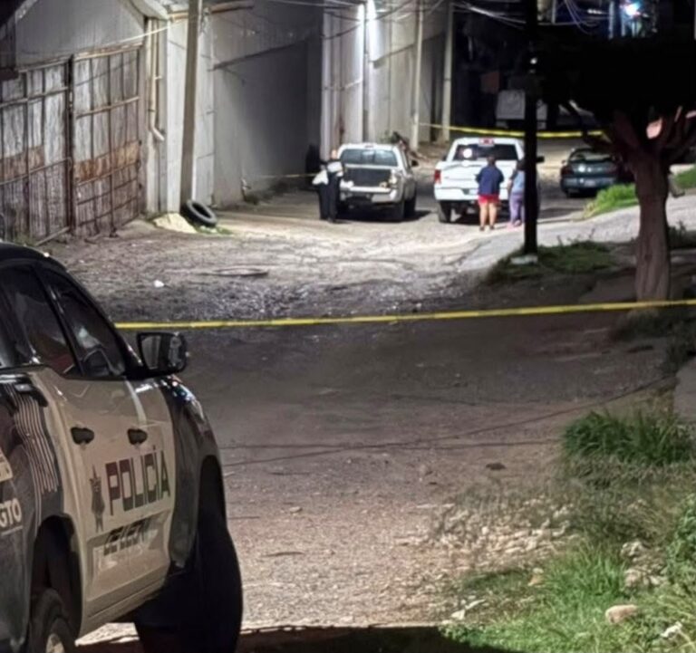 Asesinan a una mujer dentro de su domicilio en León