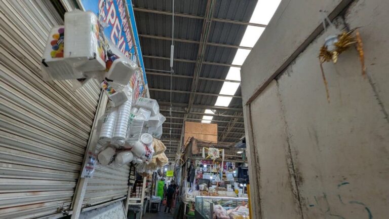 Gestionan recursos para rehabilitar techo del Mercado de Irapuato